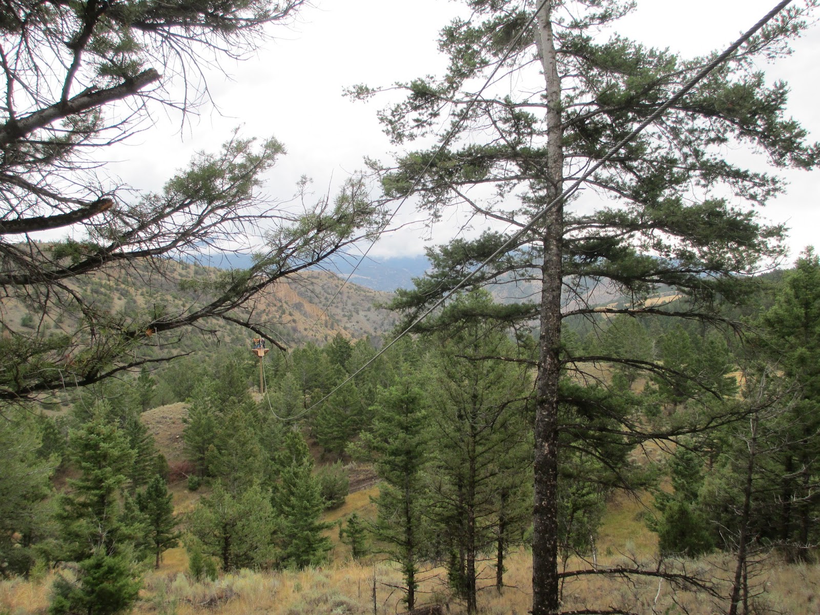 Ziplining Across the USA Saturday September 14 Yellowstone Zipline