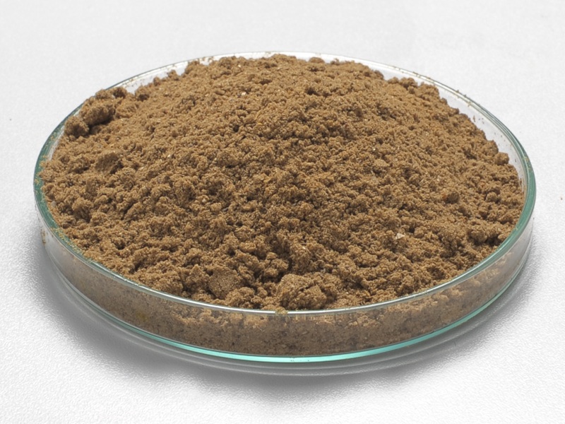 Catfish Feed Ingredients Filled with Important Nutrition Dry Catfish
