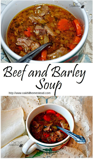 Beef Barley Soup, a simple, frugal and delicious soup made with beef, vegetables and pearled barley. From Oak Hill Homestead