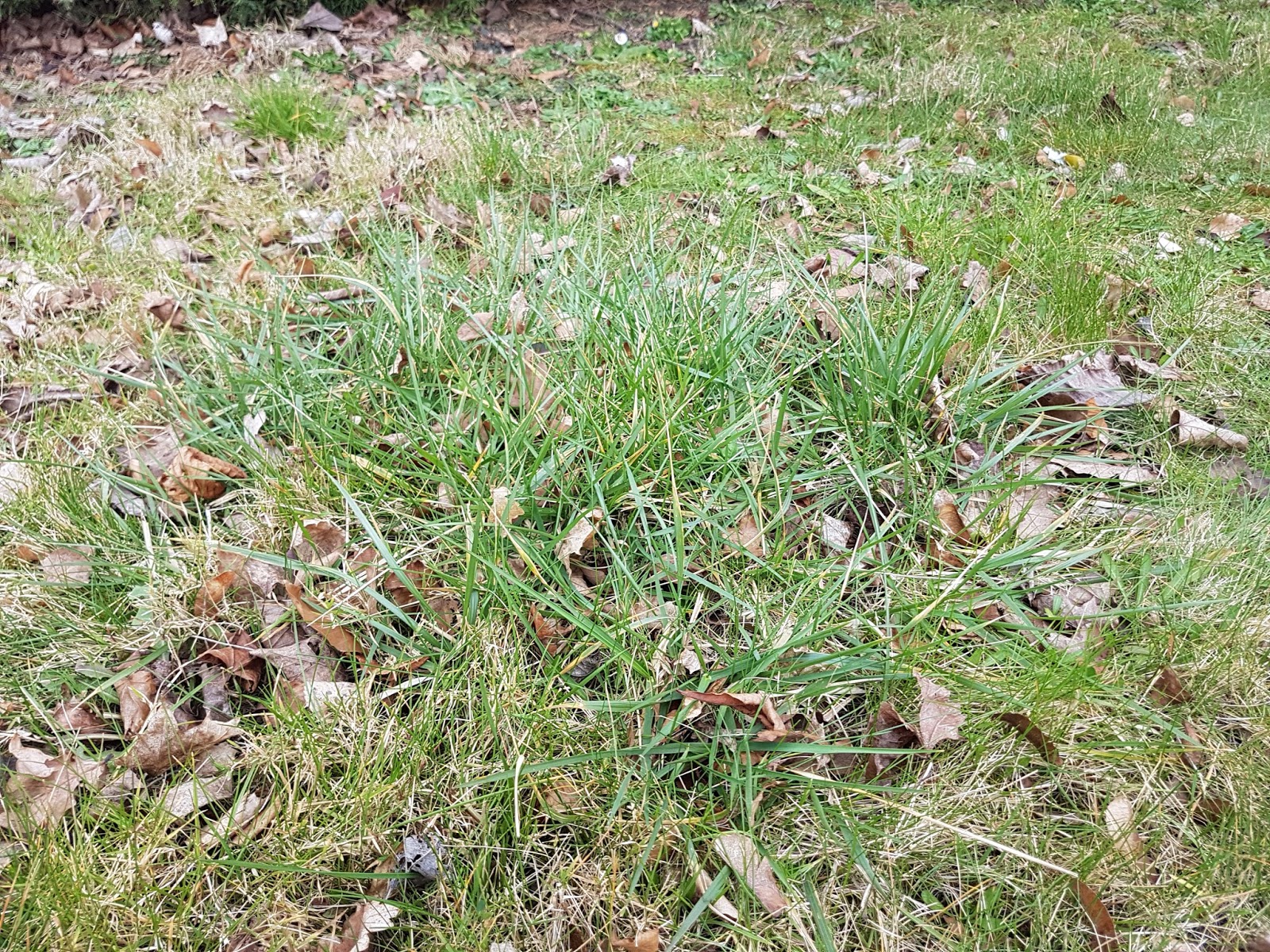 Michael Peverett Tuft hunting