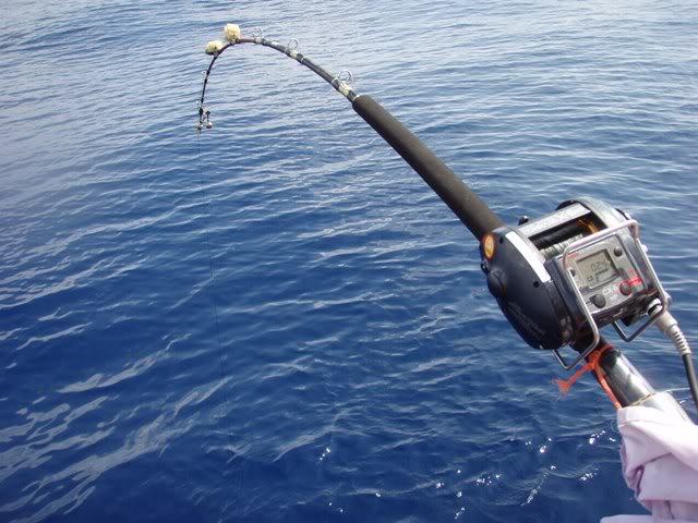 Mancing Casting Laut Resep Umpan Ikan Jitu Gambar Pancingan