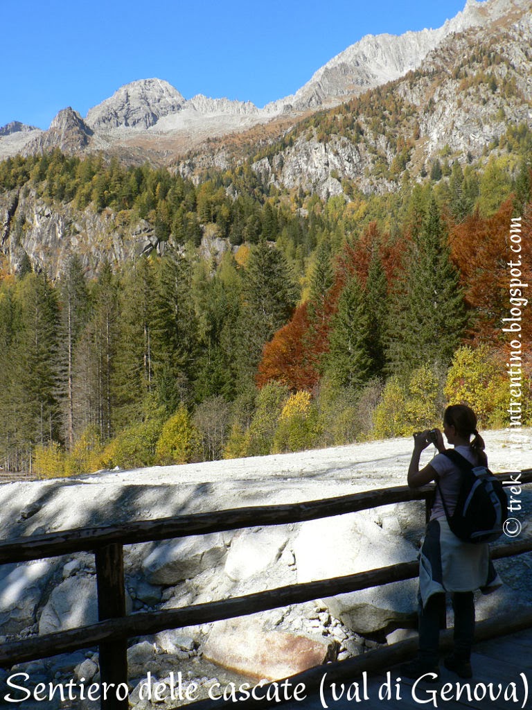 Trekking in Trentino: sentiero delle cascate (val di Genova)