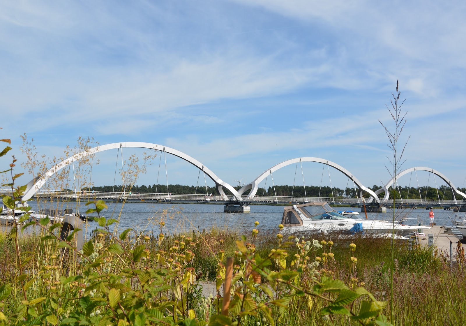 Lavendia: Sölvesborg
