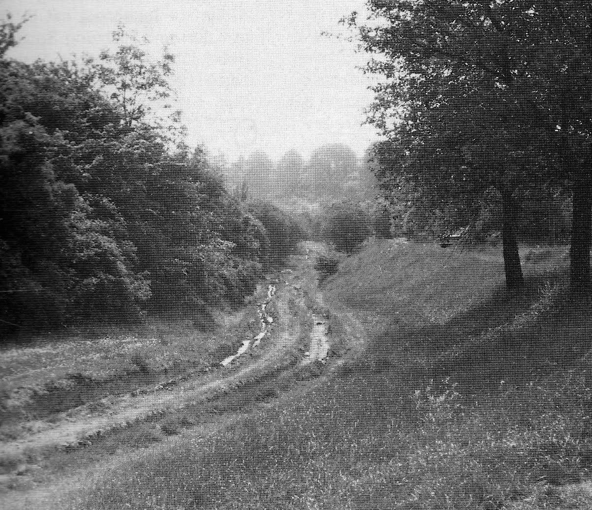 Robert Tonnies Heute Im Beirat Pdf Kostenfreier Download