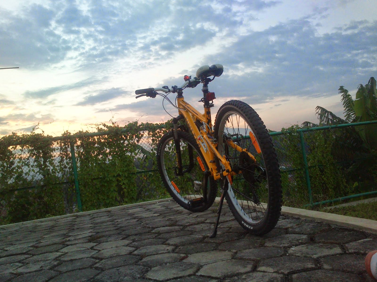 gowes!!!