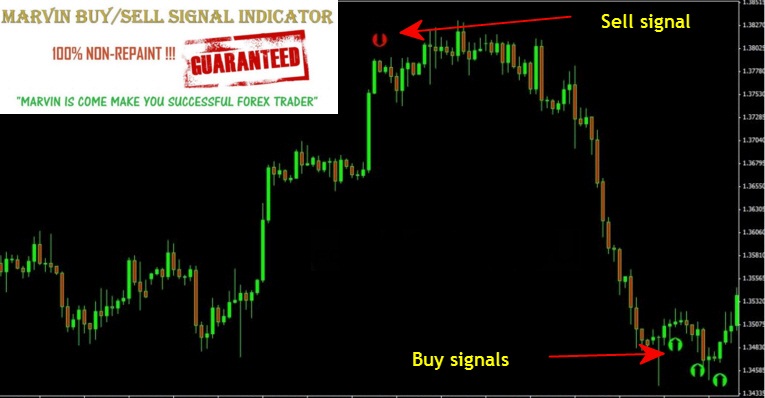Download forex ea generator professional crack