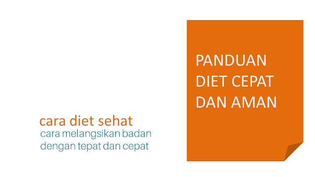 Cara Diet Sehat dan Cepat Dapatkan buku panduan pdf cara melaksanakan jadwal diet dan cara menurunkan berat tubuh yan Cara Diet Sehat dan Cepat