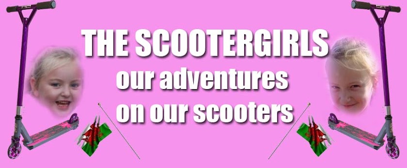 <br>The Scooter Girls<br>Stunt Scooter Blog