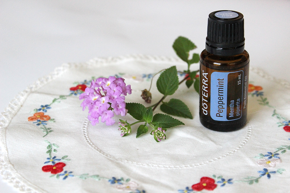 90 + ideas for the doterra Home Essentials Kit | Simply Mardi