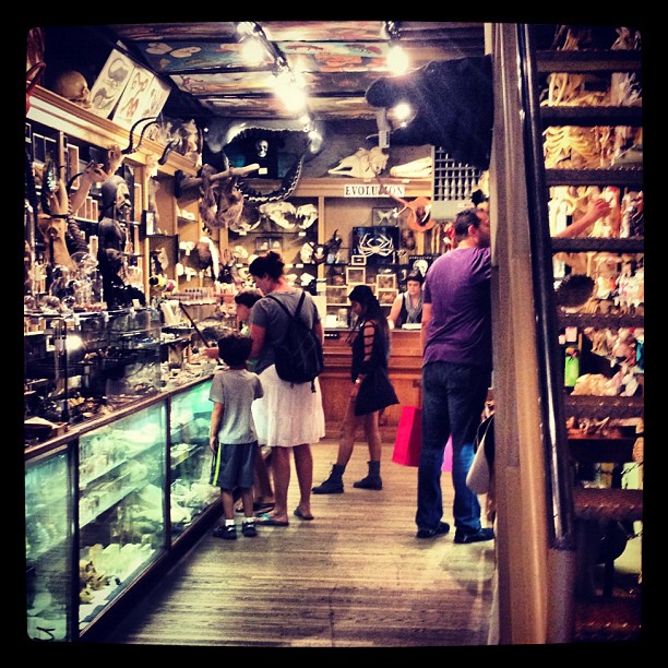 Actualité: Shopping: The Evolution Store