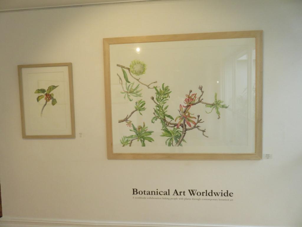 Botanical Artists Association of Southern Africa