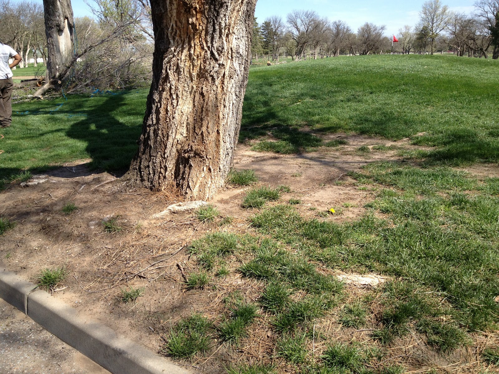 Arbor Gals Trees and Turf