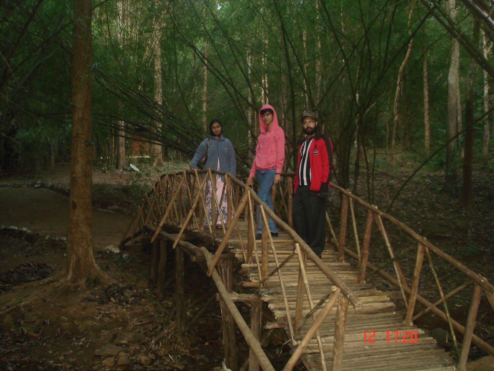 The wayfarer's guide Maredumilli the birds nest of East Godavari