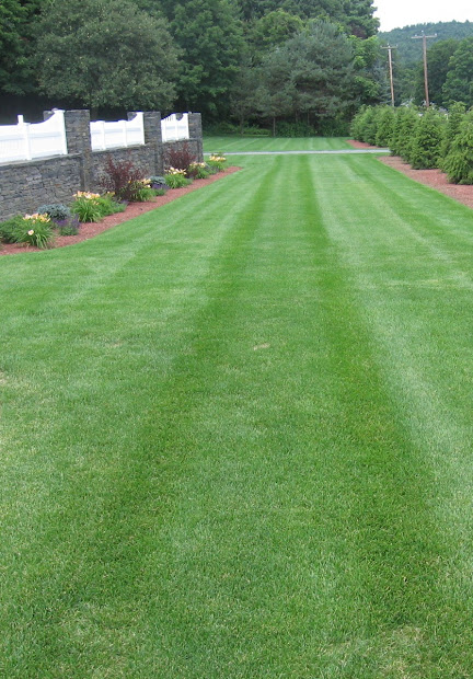 snow & sons landscaping lawn mowing