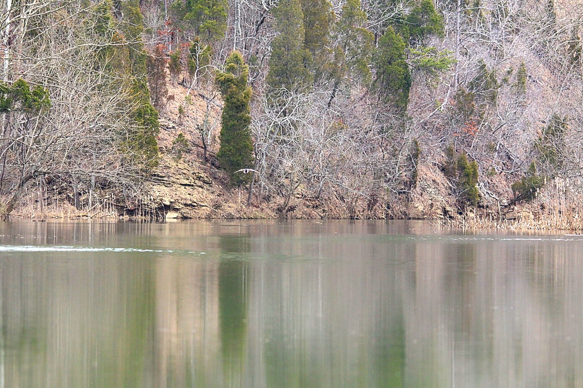Gary's Outdoor Wanderings2: MOHAWK NOVA 17 CANOE REVIEW AND A MORNING ...