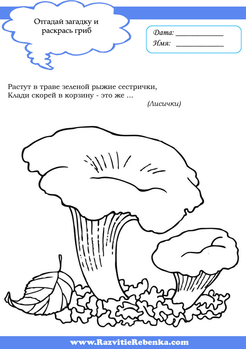 Стихи про грибы для детей