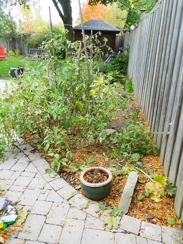 Garden Muses Not Another Toronto Gardening Blog A Don Mills
