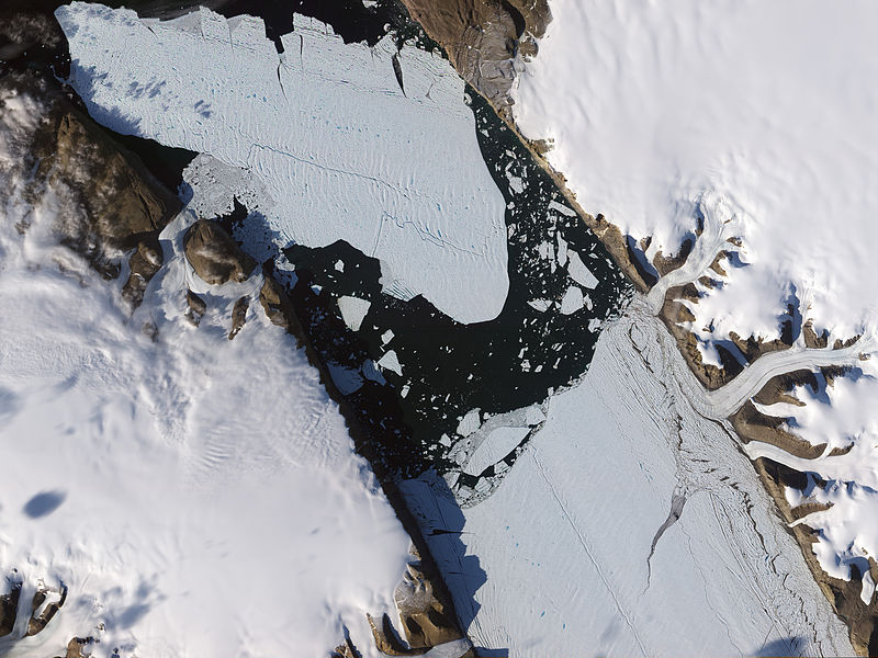 Carbon-Based: Greenland glacier loses ice island twice the ...