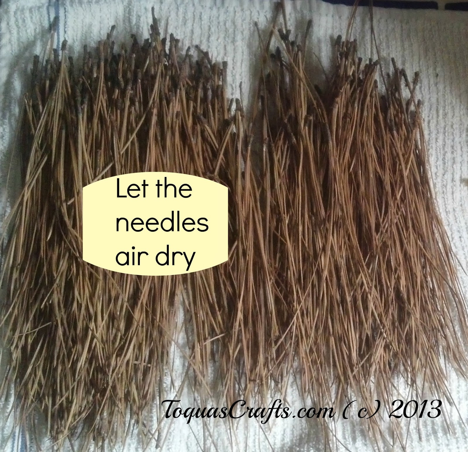 Toqua's Crafts How to Prepare Pine Needles for Weaving