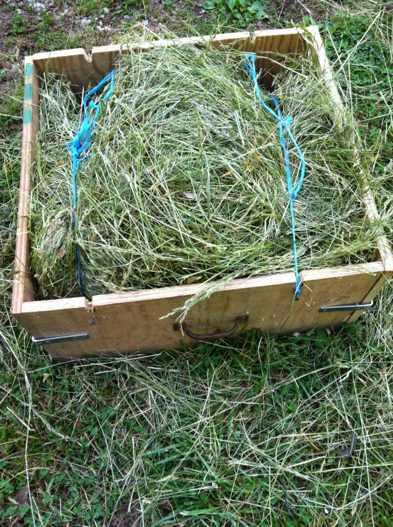 Tractorpunk Hay Making Experiment!