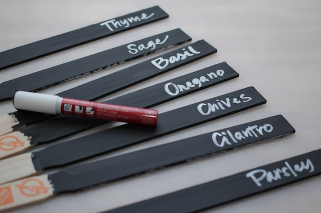 Chalkboard paint garden markers