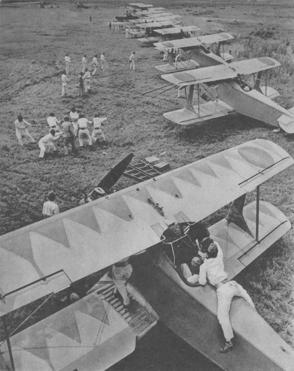 WildEagles Kawasaki KDA 5