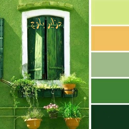 تناسق الالوان مع اللون الاخضر تناسق الالوان مع اللون الاخضر