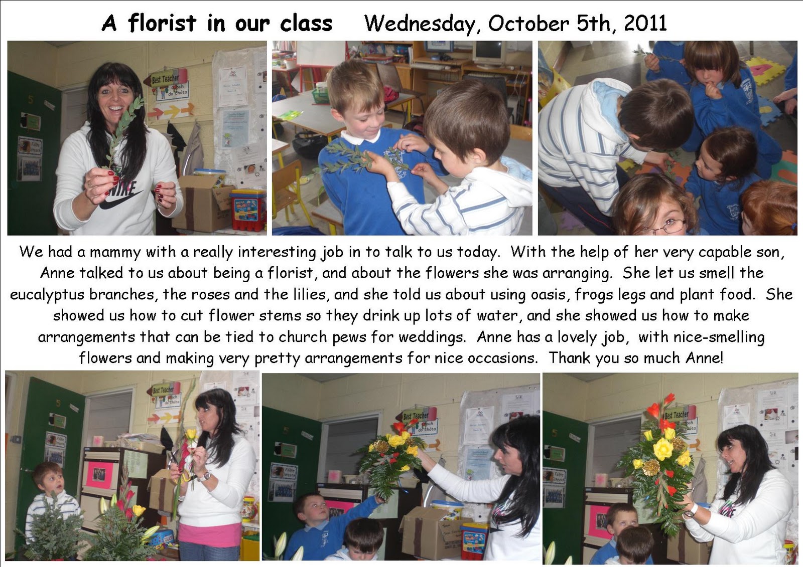 Ms. McLoughlin's class, 2nd Class, Room 9 A florist in our class