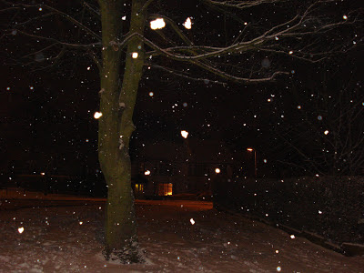 Snowing At Night