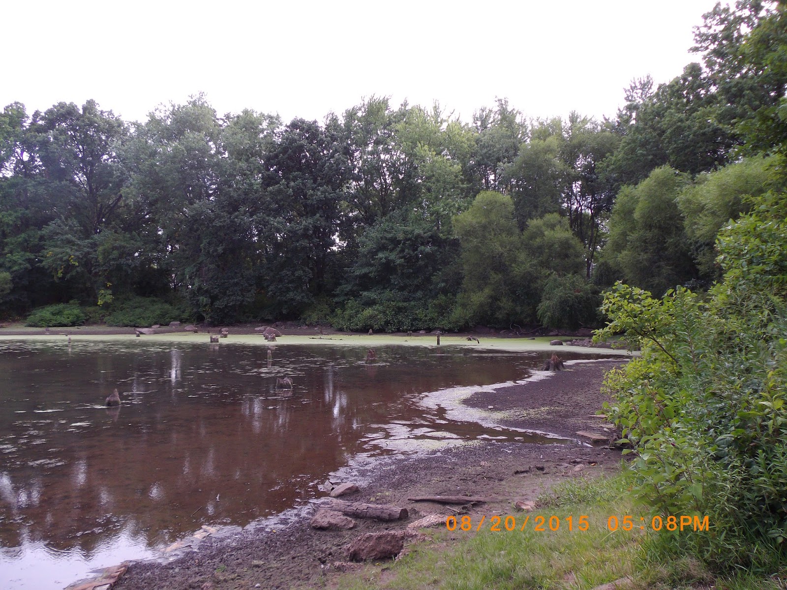 The Great Lakes of NYC Kettle Ponds fishing