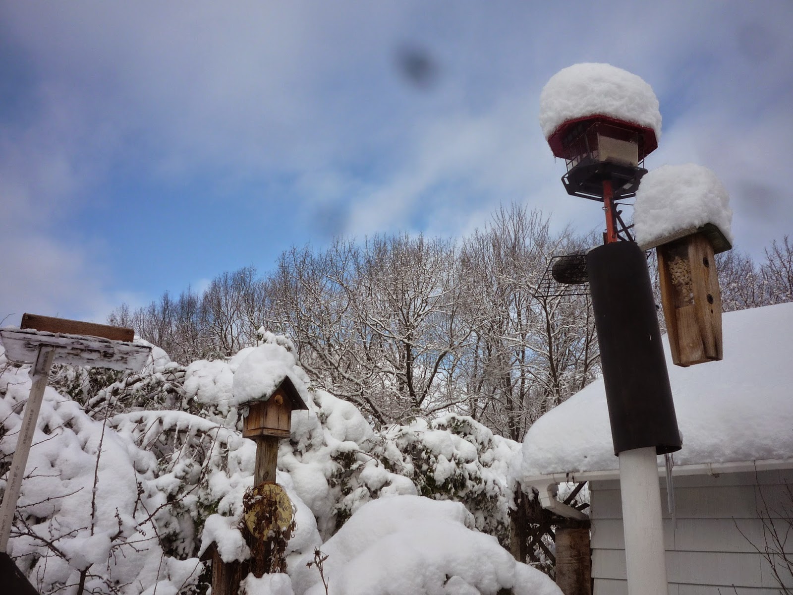 Weather in Vermont Dec 2014 Snowstorm South Burlington, Vermont