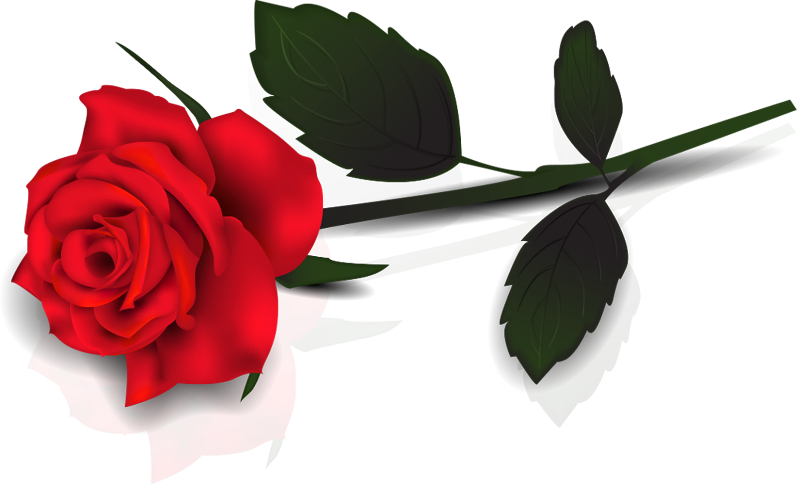 PNG muy fácil: rosas rojas