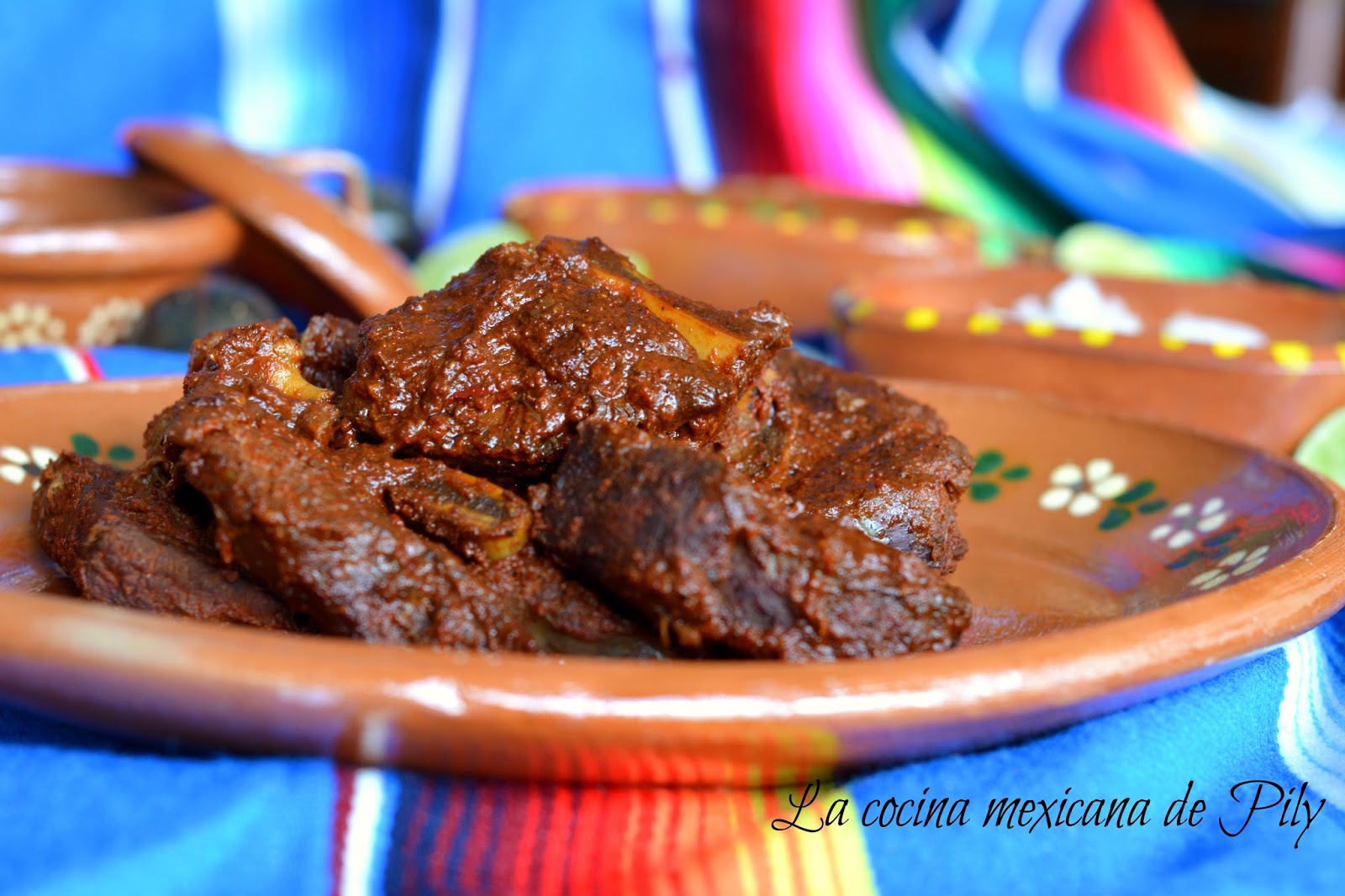 Birria Tatemada estilo Jalisco | La Cocina Mexicana de Pily