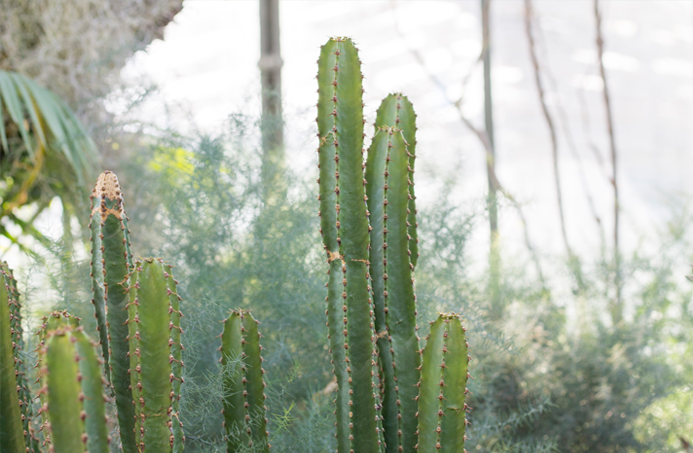 lovely lyon fotografía francia