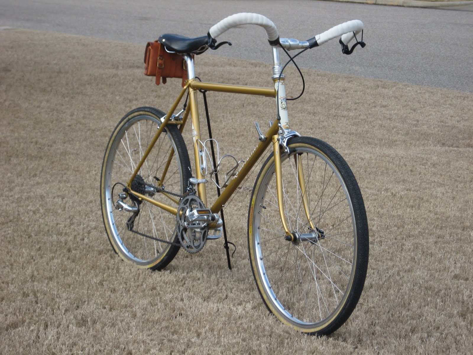 the bruce bike