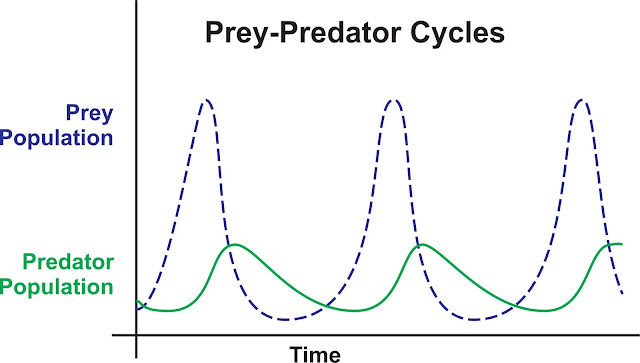 Https Encrypted Tbn0 Gstatic Com Images Q Tbn 3aand9gcstbqqzdaedcsk87kssx1h4dx6w6ns5gbhunw Usqp Cau