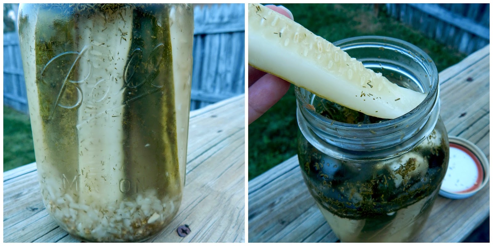 How to Make Refrigerated Dill Pickles Ally's Sweet & Savory Eats