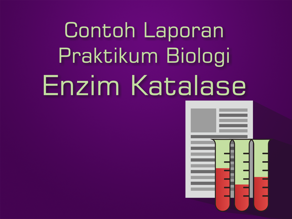 Contoh Laporan Praktikum Biologi Enzim Katalase Contoh Laporan Praktikum Biologi Enzim Katalase