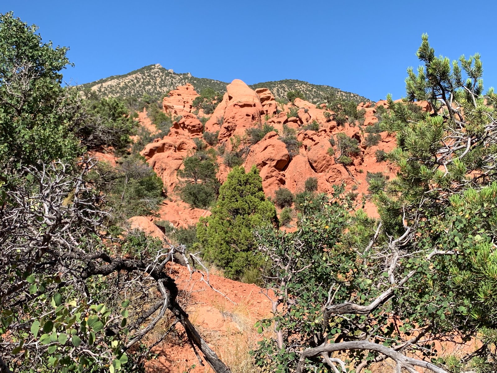 Good Knight Times Thunderbird Gardens Trailhead, Cedar City, UT