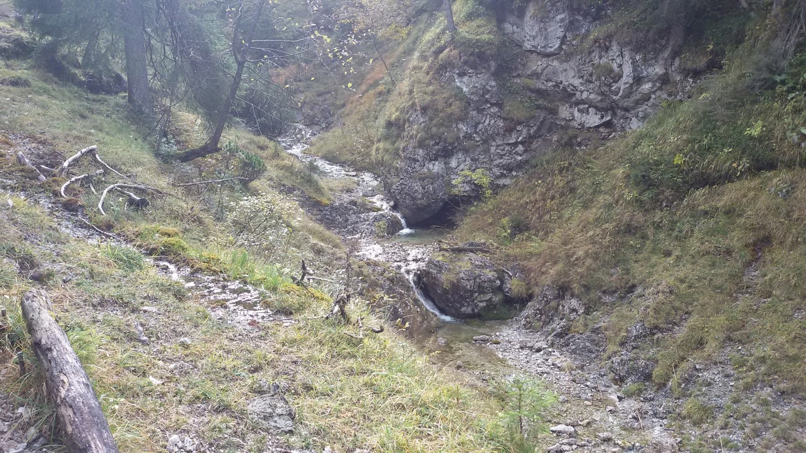 Grosse Klammspitze Und Feigenkopf Der Fruhe Vogel Fangt Den Wurm
