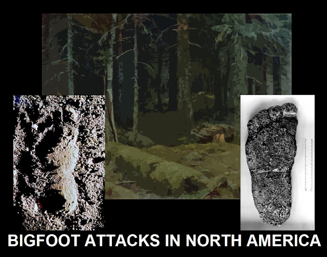End Times Blog: Is the Bigfoot Real? — The Nature of Bigfoot (Sasquatch End Times Blog: Is the Bigfoot Real? — The Nature of Bigfoot (Sasquatch