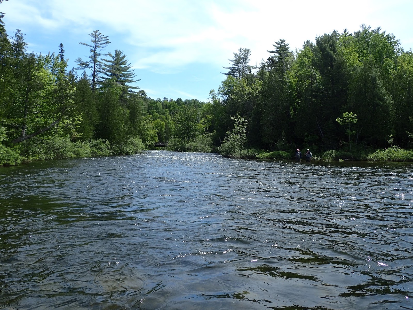 First Cast Fly Fishing Fly Fishing Maine Rangeley River