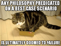 Any philosophy predicated on a best case scenario is ultimately doomed to failure Meme: Maru in a tiny box - Any philosophy predicated on a best case scenario is ultimately doomed to failure
