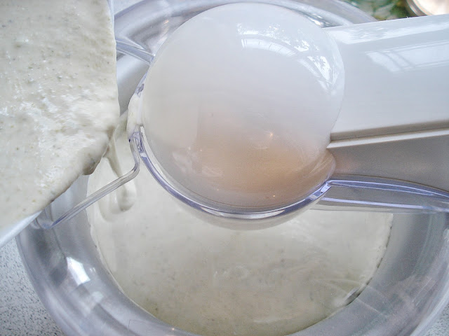 Pour the yogurt ice cream mixture into the ice cream maker
