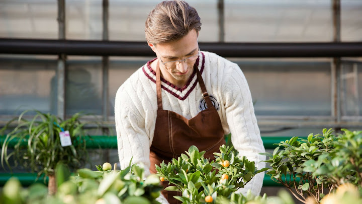 Soñar con plantas Soñar con plantas
