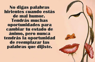 imagenes con frases hirientes imagenes con frases hirientes