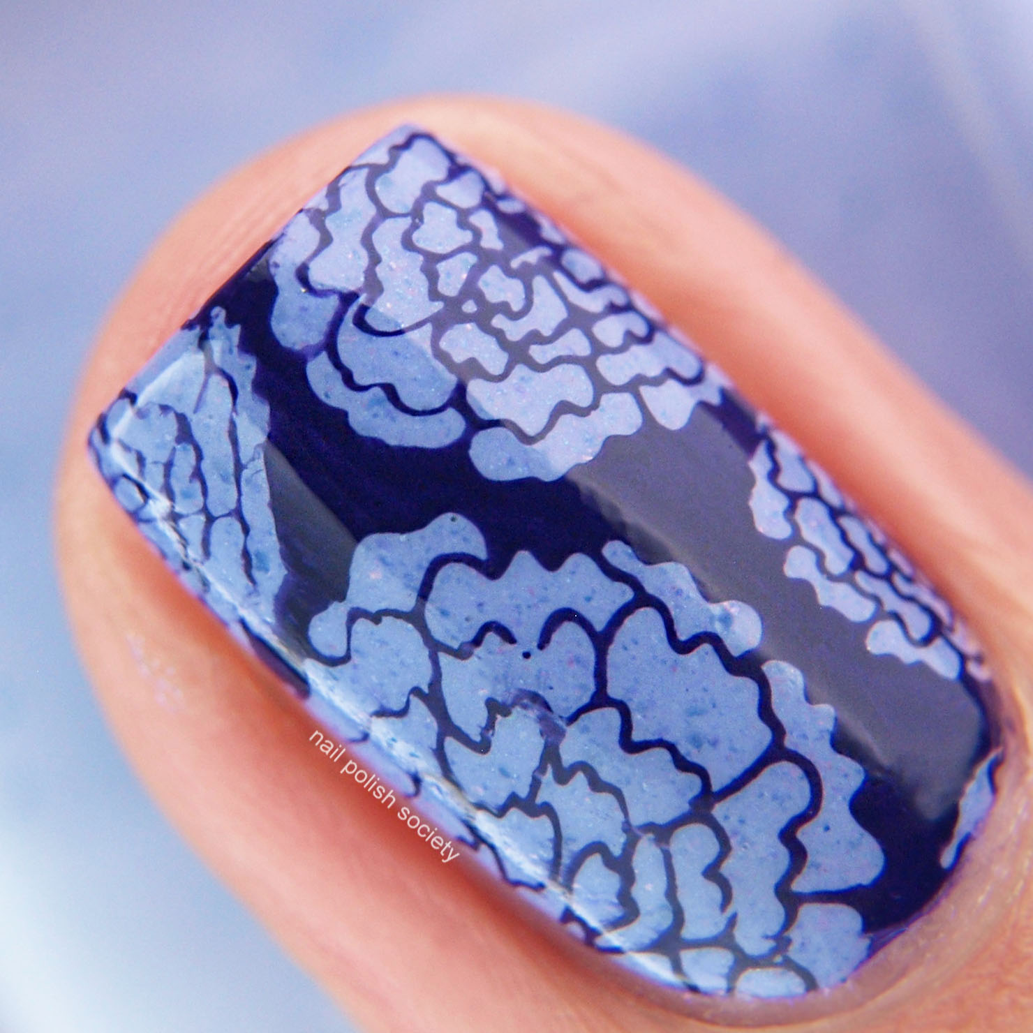 Nail Polish Society UberChic Beauty Collection 10 Stamping Plate Review