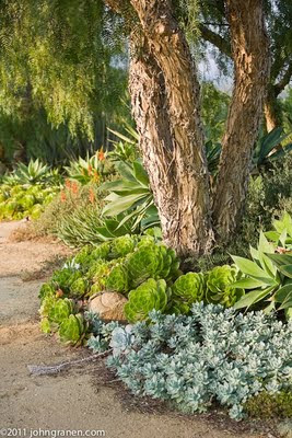 INTERIOR + ARCHITECTURAL PHOTOGRAPHY: Southern California Garden