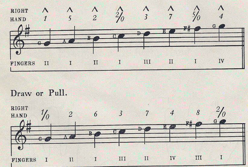 How to Play a German Concertina Concertina finger numbering