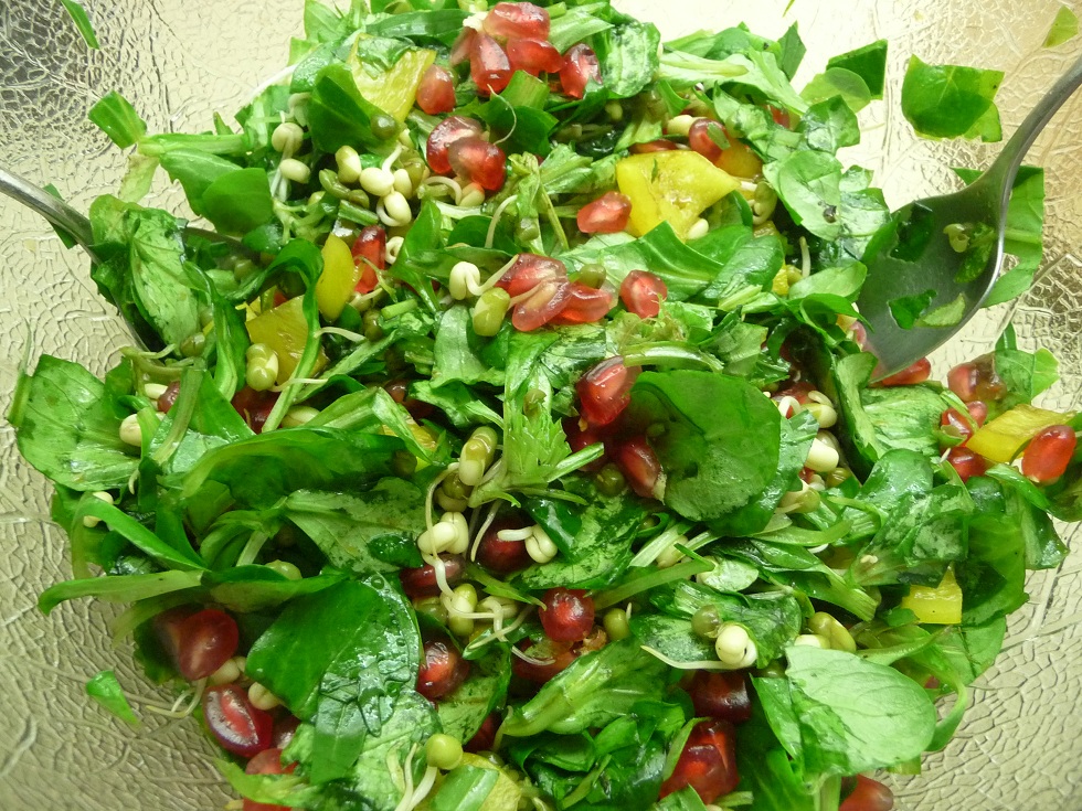 vegan&amp;roh: Salat mit Granatapfel